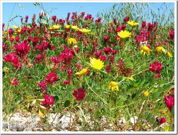 Salib tal-Gholja, Delimara, Marsaxlokk (102) Salib tal-Gholja, Delimara, Marsaxlokk (102)