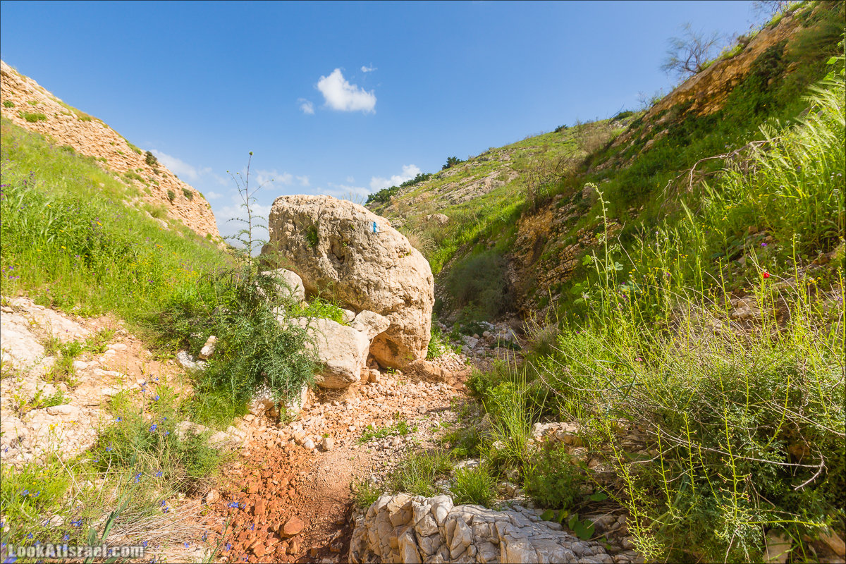 LookAtIsrael.com - Ручей (нахаль) Талкид | Nahal Talkid | נחל תלקיד