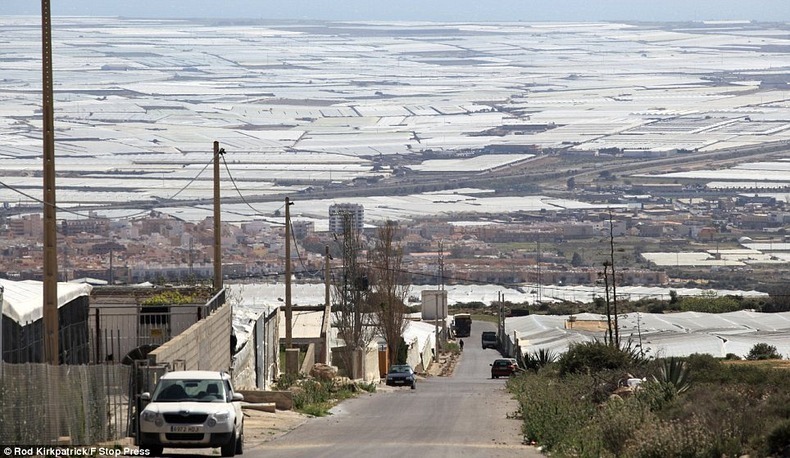 greenhouses-almeria-5