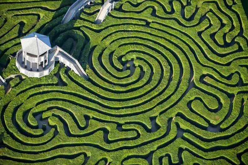 longleat-hedge-maze-1