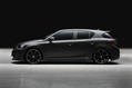 Wald-Lexus-CT-200h-10