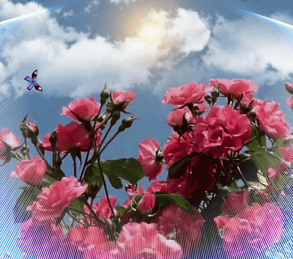 ...1495a.gif