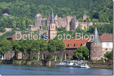 heidelberg2