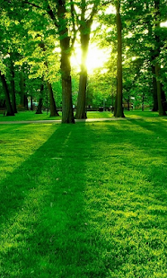 How to download Sun Rise Live Wallpaper 1.0 mod apk for pc