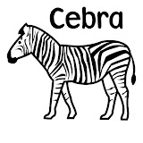 Cebra.jpg