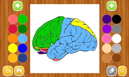How to install Anatomy Coloring Book 1.0.1 mod apk for pc