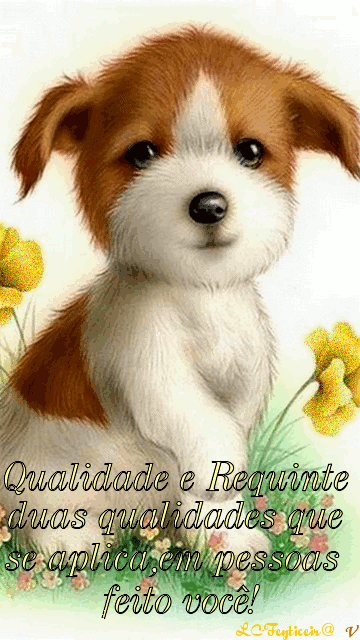 135404687836951feyticeir%40.gif