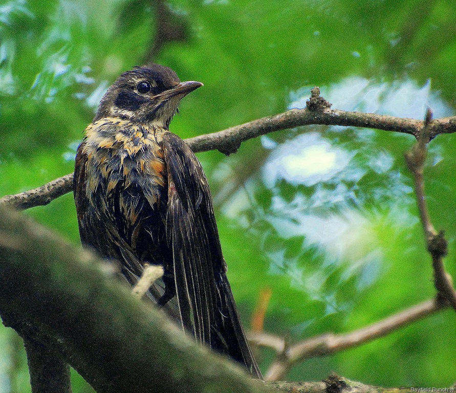 [DSC_4075%255B4%255D.jpg]