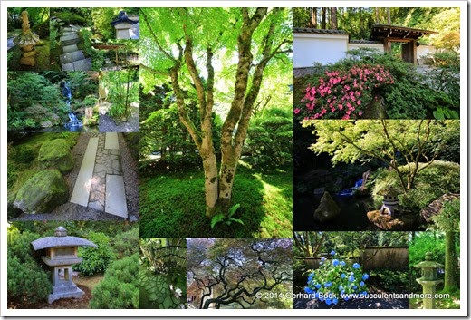 140712 Portland Japanese Garden