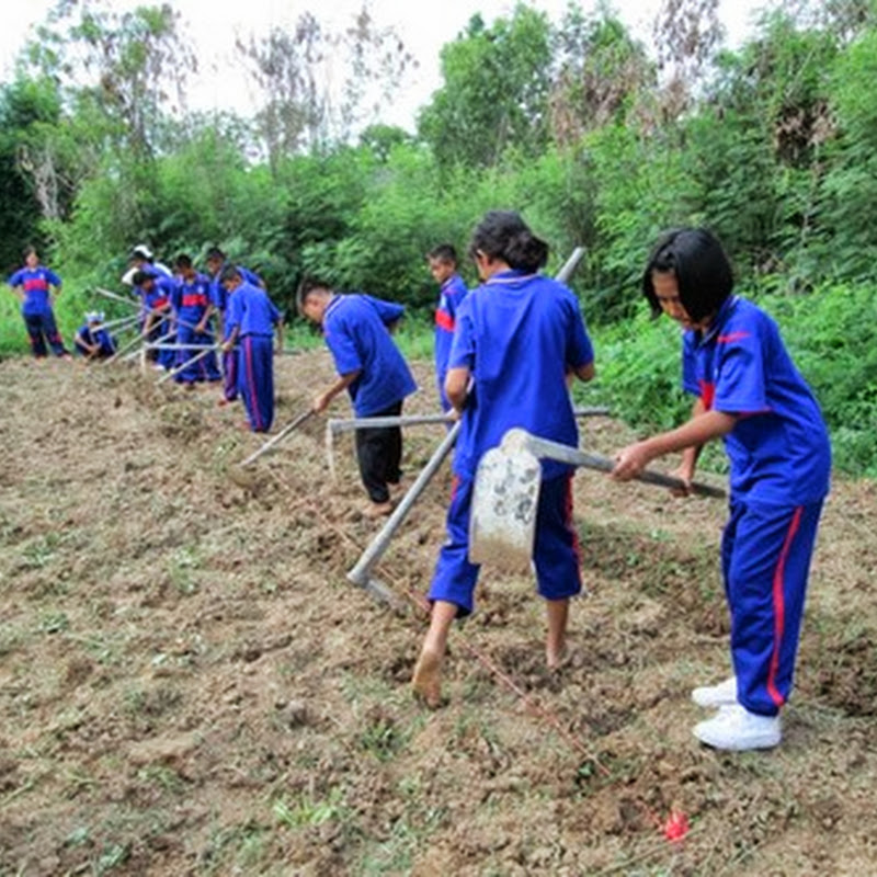Mini project  agriculture in Thailand school