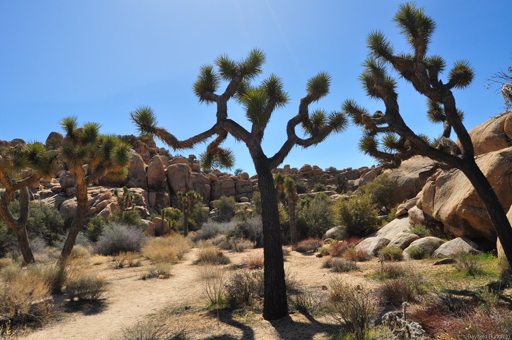 [DSC_0179%255B5%255D.jpg]