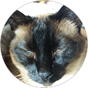 Image Google de Francoise Poirot