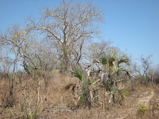DSCN6846.JPG