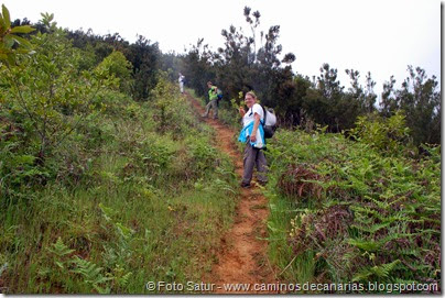 7962 Circular a Firgas R3-Pico del Rayo) 7962 Circular a Firgas R3-Pico del Rayo)