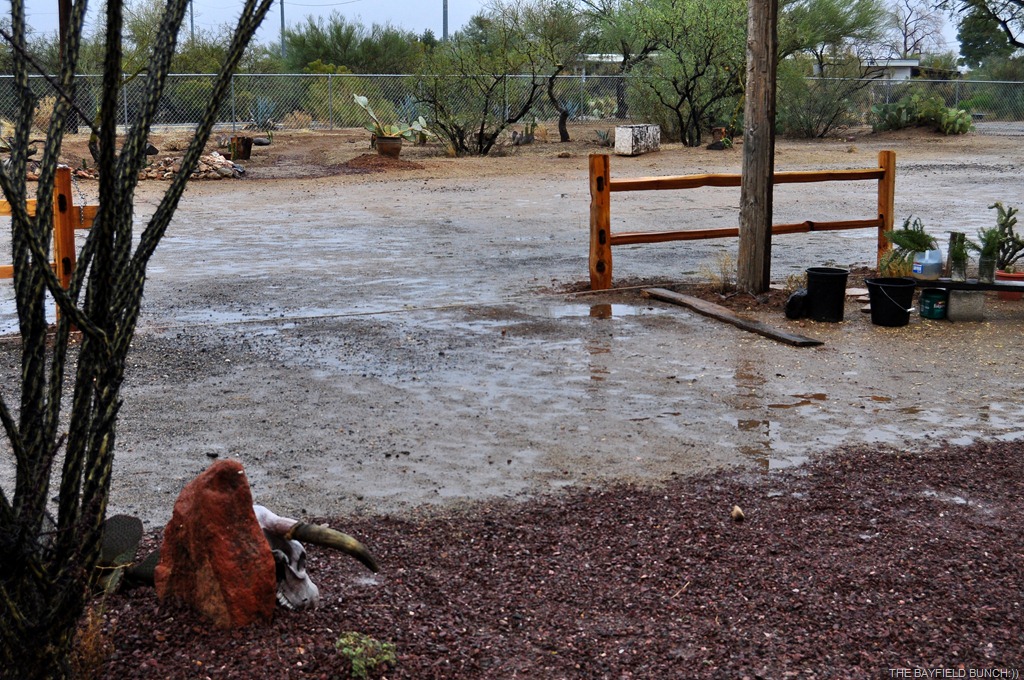 [DSC_0002%255B4%255D.jpg]