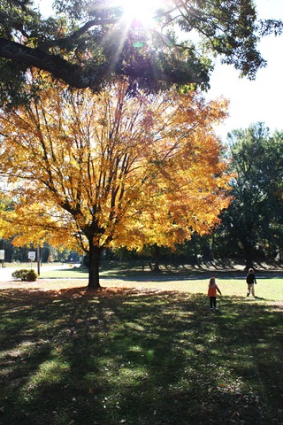 [IMG_1178%255B3%255D.jpg]