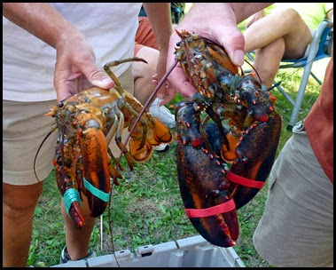 04c - Lobster Boil - Big and Little