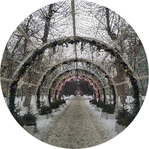 Данил Сафин