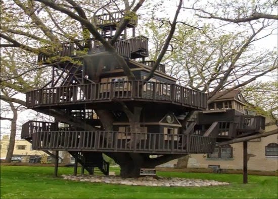 Giant Tree house