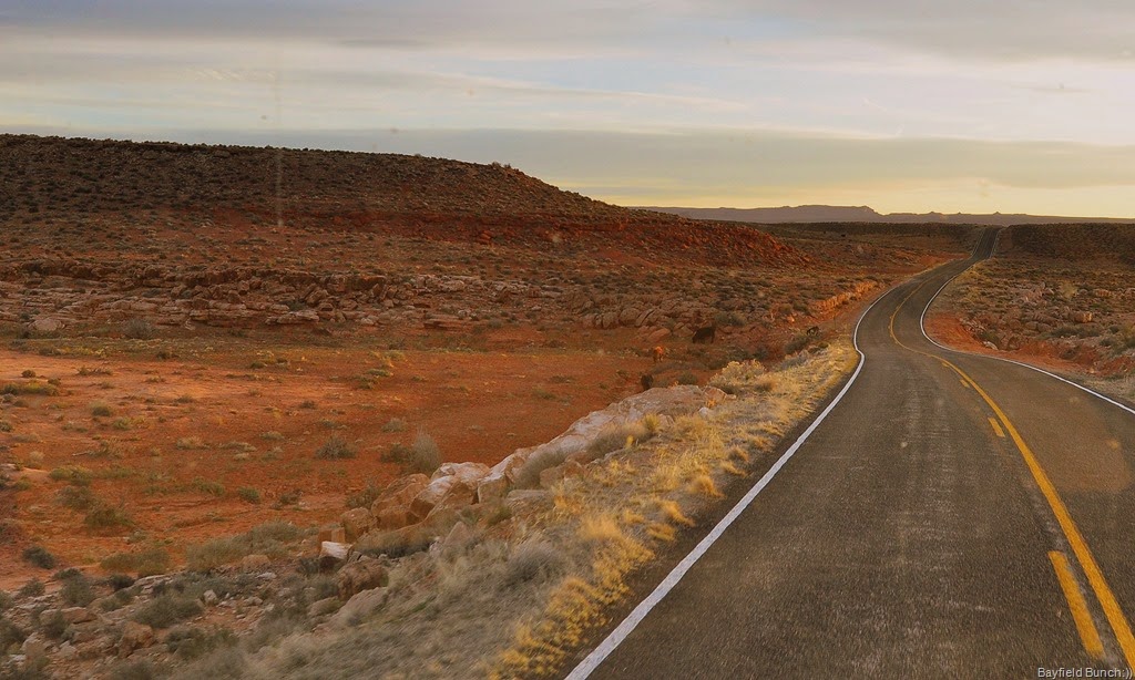 [DSC_0005%255B9%255D.jpg]