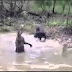 FUNNY VIDEOS Funny Cats Funny Cat Videos Funny Animals Funny Dogs Funny Pranks 7