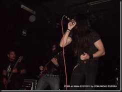 8-7-2011 PORK Zadar Wilde (33)