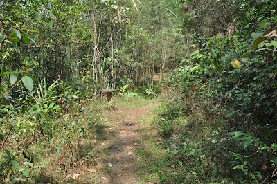 DSC_0592.JPG