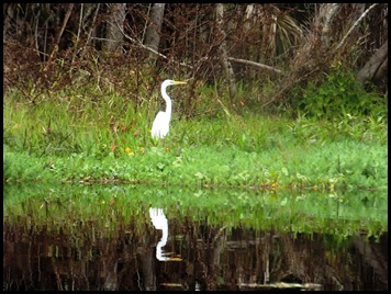 Paddle to Hontoon 187