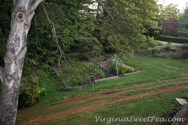 [Lawn%2520Damage2%255B3%255D.jpg]