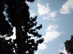 日月潭-36
