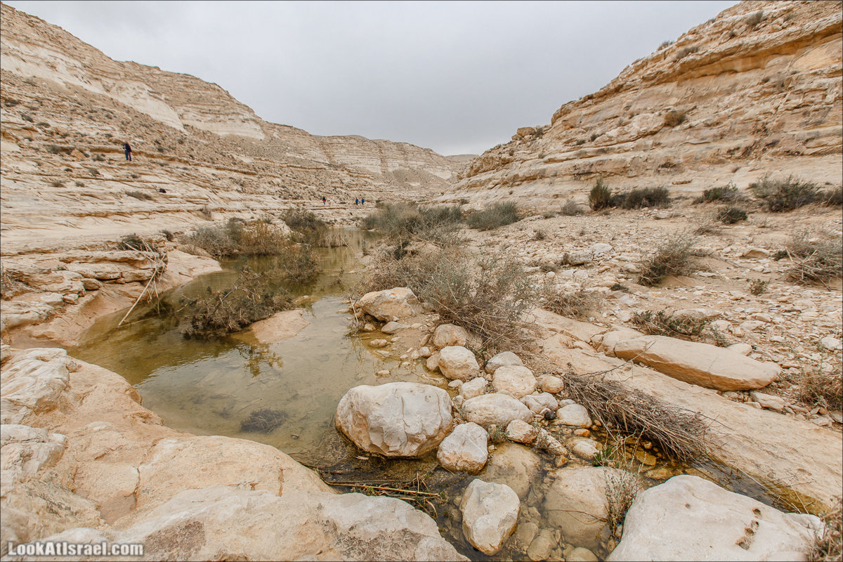 Ручей Акев и источник Эйн Акев в пустыне Негев. LookAtIsrael.com - Фото путешествия по Израилю