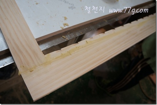철천지DSC03118-20121023-132641[4]