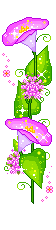 a_210807232411.png
