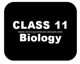 CLASS 11 Biology