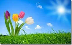 2532-spring-nature-wallpapers-hd-wallpapers