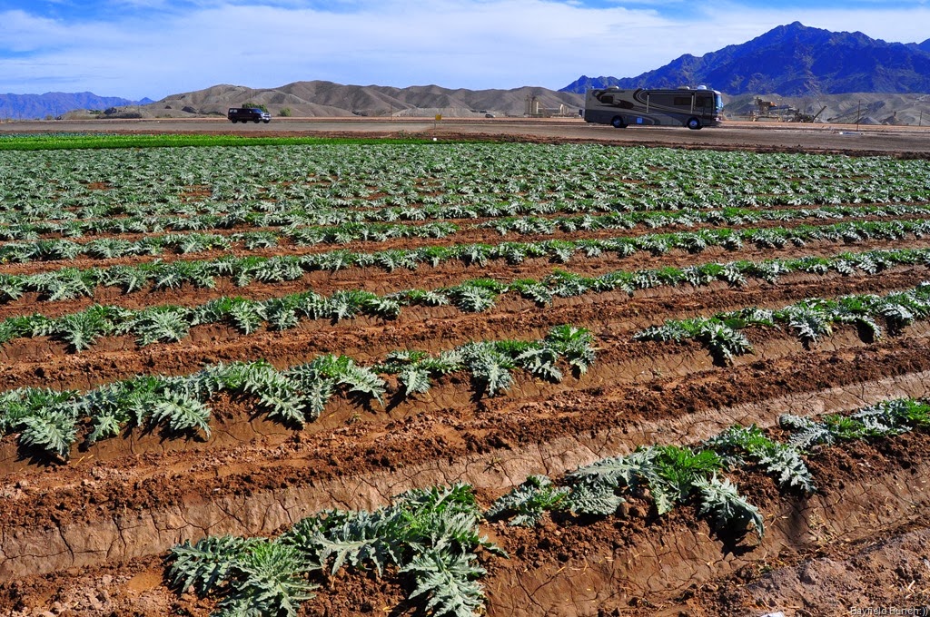 [DSC_0011%255B3%255D.jpg]