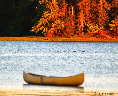 DSC_0169 Wharton Point Canoe-kab