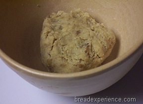 roasted-garlic-parmesan-pot-bread 008