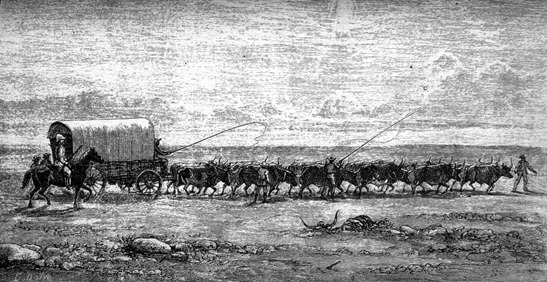 [CARRO%2520BOER%255B6%255D.jpg]