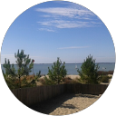 Image Google de thomas cormier