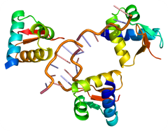 Protein_ADAR_PDB_1qbj