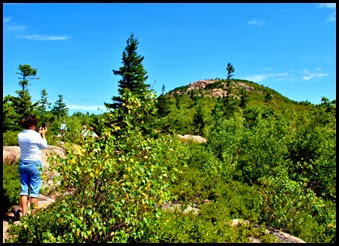 02e - Champlain Mtn - South Ridge Trail is that the summit