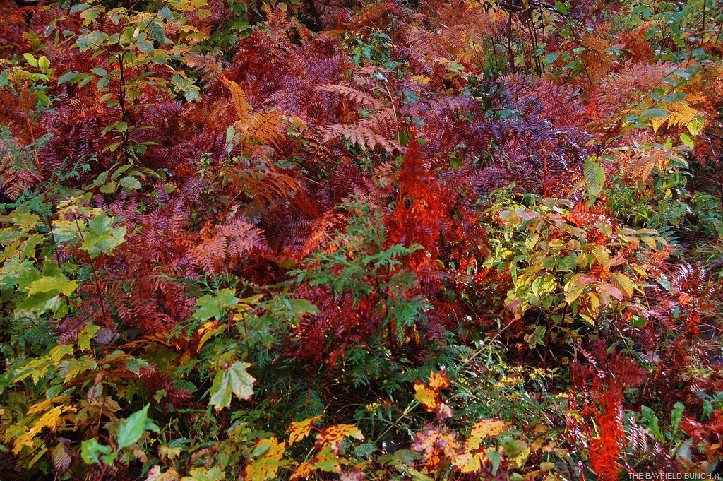 [DSC_0035%255B4%255D.jpg]