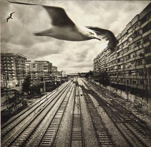 [clip_image001%255B3%255D.jpg]