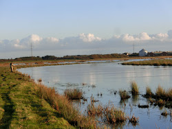 Skjern Au _ Oktober 2012 - 089