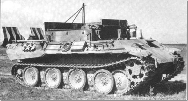 Bergepanther