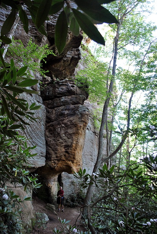 [24---Rock-Garden-Trail---Cliffs-are-%255B1%255D.jpg]