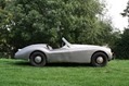 Jaguar-Coys-7