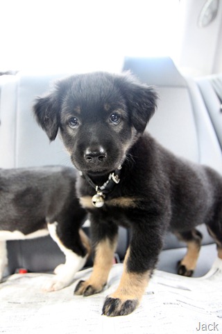 [IMG_0127%255B8%255D.jpg]