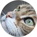 Image Google de Caroline Leygue